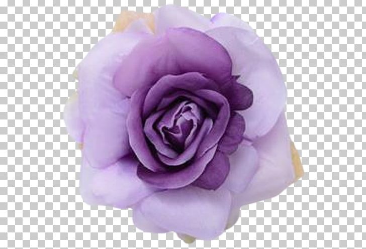 Lavender Eggplant Garden Roses Purple Centifolia Roses PNG, Clipart, Centifolia Roses, Cut Flowers, Eggplant, Floribunda, Flower Free PNG Download