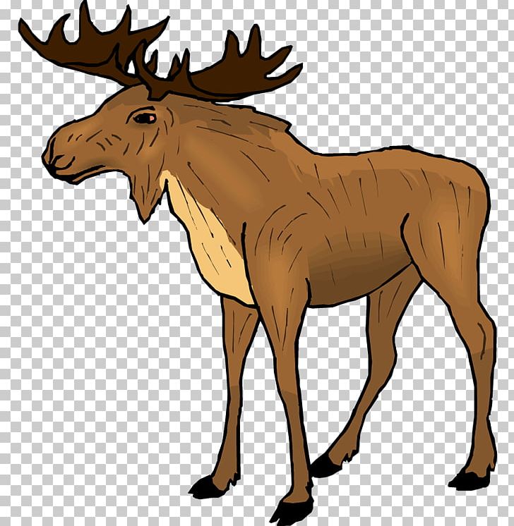 Moose Elk Free Content Reindeer PNG, Clipart, Animal Wildlife Cliparts, Antler, Bridle, Cartoon, Deer Free PNG Download