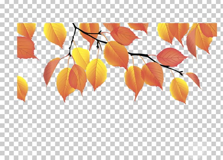 Autumn Leaf Color Yellow PNG, Clipart, Autumn, Autumn Leaf Color, Branch, Deciduous, Download Free PNG Download