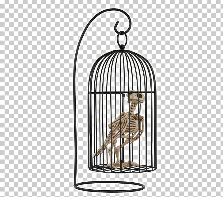 Birdcage Crow Pet PNG, Clipart, Animals, Bird, Birdcage, Bird Of Prey, Cage Free PNG Download