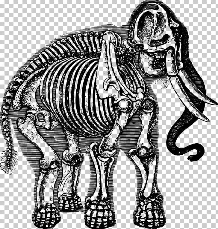 Elephant Human Skeleton PNG, Clipart, Anatomy, Baby Elephant, Happy Birthday Vector Images, Mammal, Monochrome Free PNG Download