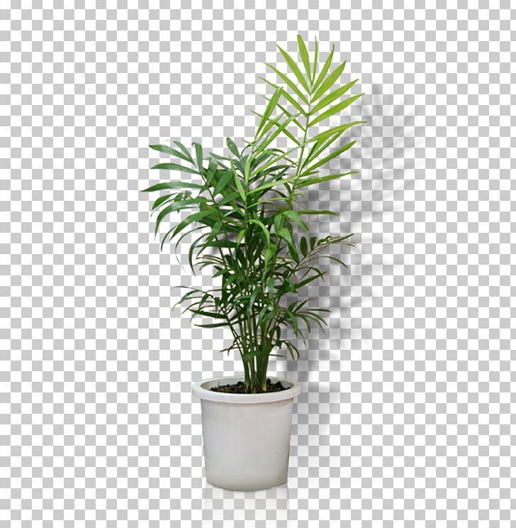 Flowerpot Crock Houseplant Bonsai PNG, Clipart, Arecales, Bonsai, Computer Icons, Crock, Download Free PNG Download