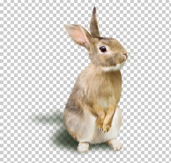 Rabbit Raster Graphics RGB Color Model PNG, Clipart, Animals, Brown, Brown Bunny, Brown Pattern, Bunny Free PNG Download