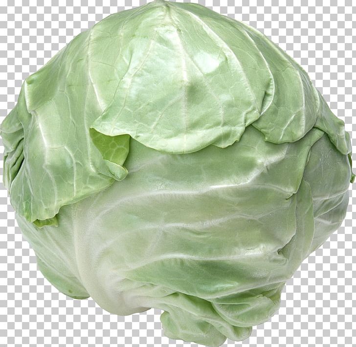 Red Cabbage Cauliflower Broccoli Brassica Rapa PNG, Clipart, Brassica Oleracea, Brassica Rapa, Cabbage, Cauliflower, Chinese Cabbage Free PNG Download