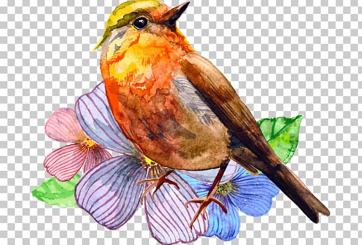 Watercolor Painting Bird Art PNG, Clipart, Art, Beak, Bird, Drawing, European Robin Free PNG Download