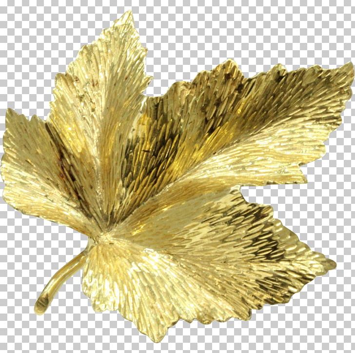Canada Brooch Gold Maple Leaf PNG, Clipart, Brooch, Canada, Canadian Gold Maple Leaf, Colored Gold, Flower Free PNG Download
