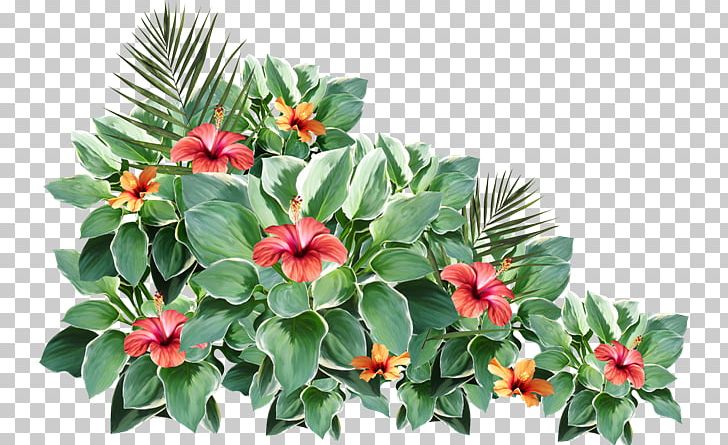 Floral Design Flower 2403 (عدد) 2404 (عدد) PNG, Clipart, Annual Plant, Aquifoliaceae, Aquifoliales, Evergreen, Floral Design Free PNG Download