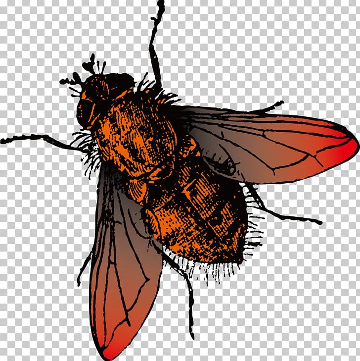 Fly Photography PNG, Clipart, Animation, Art, Arthropod, Bee, Brush Footed Butterfly Free PNG Download