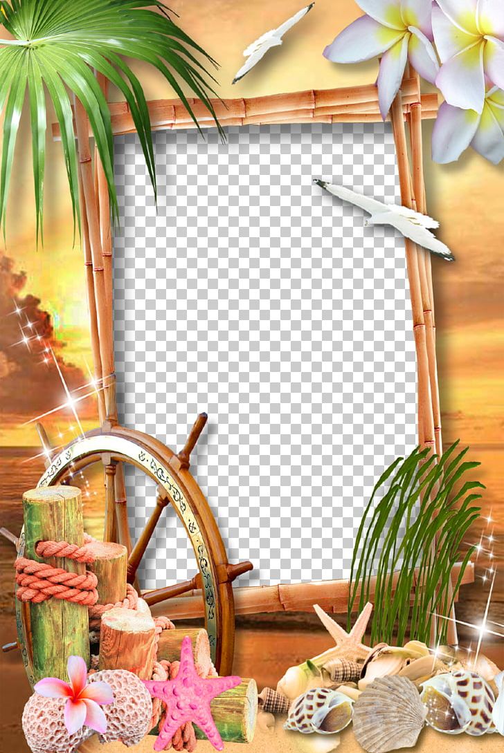 Frames Photography Editing Photomontage PNG, Clipart, Ananas, Android, Bromeliaceae, Camera, Collage Free PNG Download