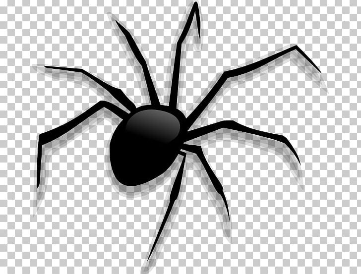 Spider Cartoon PNG, Clipart, Animation, Arachnid, Arthropod, Black And White, Drawing Free PNG Download