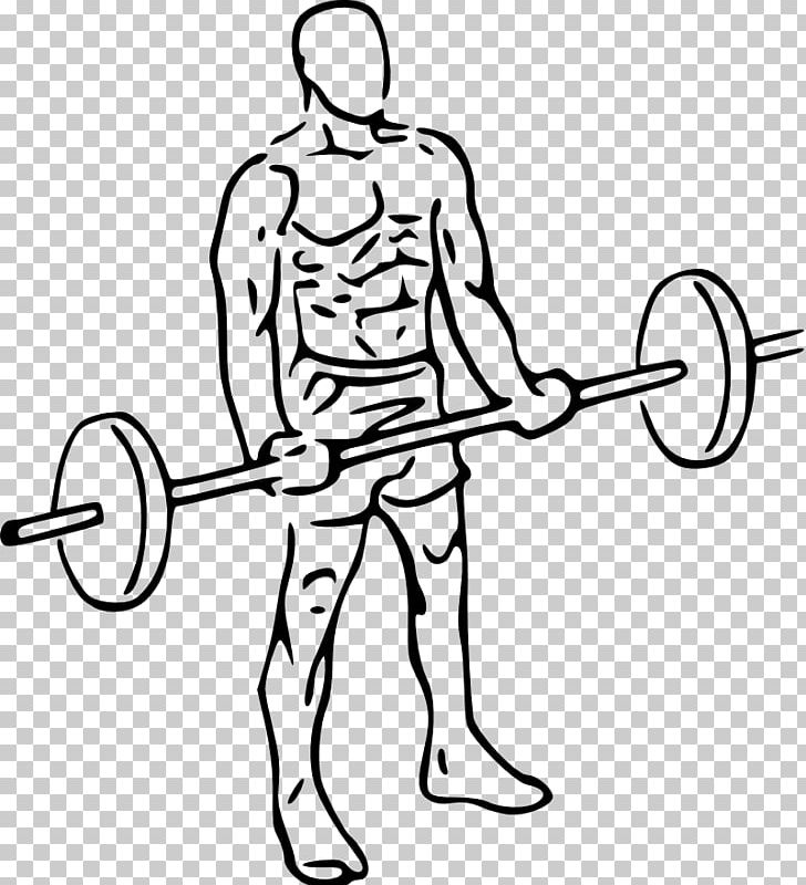 Biceps Curl Barbell Dumbbell Physical Exercise PNG, Clipart, Abdomen, Arm, Barbell, Bench, Bench Press Free PNG Download