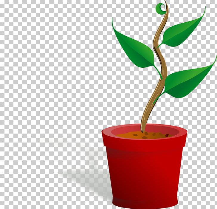 Plant Seed PNG, Clipart, Computer Icons, Cup, Flower, Flowerpot, Free Content Free PNG Download
