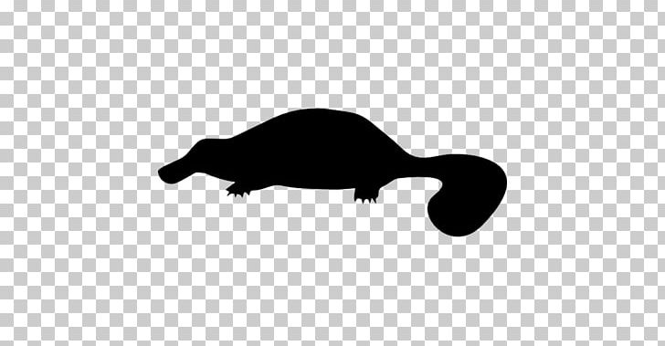 Platypus Mammal Carnivora Computer Icons Animal PNG, Clipart, Animal, Black, Black And White, Carnivora, Carnivoran Free PNG Download
