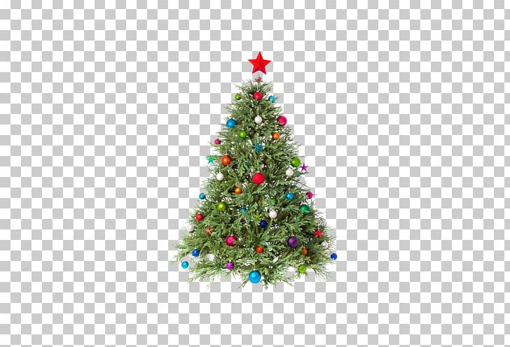 Christmas Tree PNG, Clipart, Christmas Border, Christmas Decoration, Christmas Frame, Christmas Lights, Christmas Ornament Free PNG Download