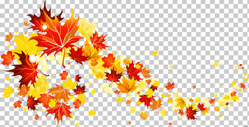 Maple Leaf PNG, Clipart, Autumn, Flower, Leaf, Maple, Maple Leaf Free PNG Download