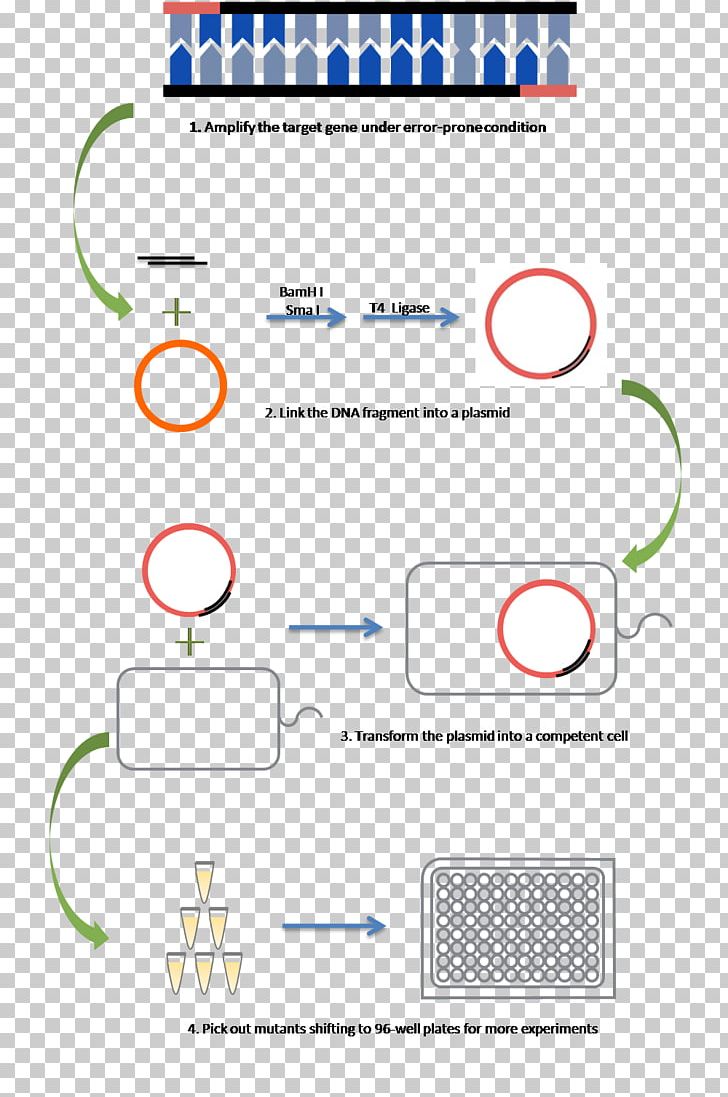 International Genetically Engineered Machine Promoter Lac Operon Polymerase Chain Reaction PNG, Clipart, Alkali, Angle, Area, Atpase, Betagalactosidase Free PNG Download