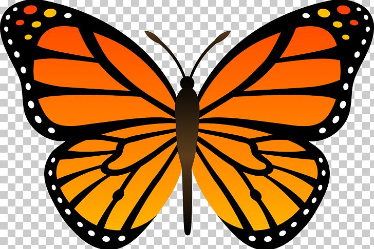 Monarch Butterfly Insect PNG, Clipart, Artwork, Biological Life Cycle, Brush Footed Butterfly, Butterfly, Butterfly Clip Art Free PNG Download