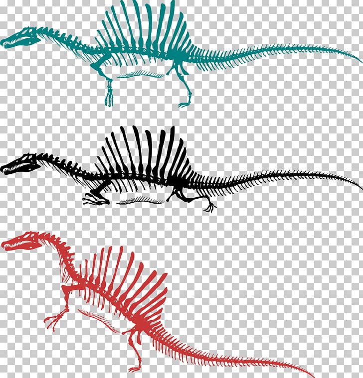Tyrannosaurus Spinosaurus Skeleton Bipedalism Sigilmassasaurus PNG, Clipart, Amphibian, Animal Figure, Animal Locomotion, Ark Survival Evolved, Bipedalism Free PNG Download
