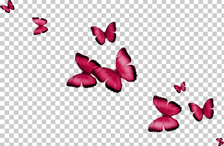 Butterfly PNG, Clipart, Arthropod, Bea, Blue, Butterflies, Color Free PNG Download