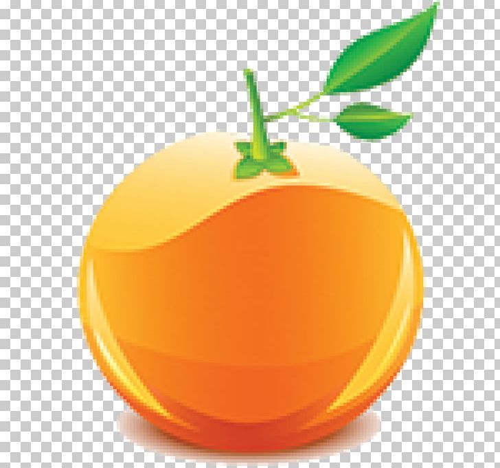 Juice Grapefruit Lemon Mandarin Orange PNG, Clipart, Apple, Cherry, Citrus, Clementine, Food Free PNG Download