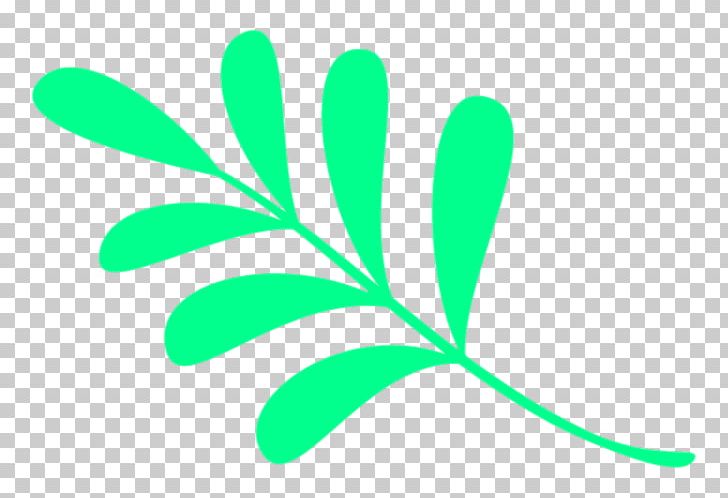 Leaf Green Plant Stem H&M PNG, Clipart, Grass, Green, Hand, Leaf, Line Free PNG Download