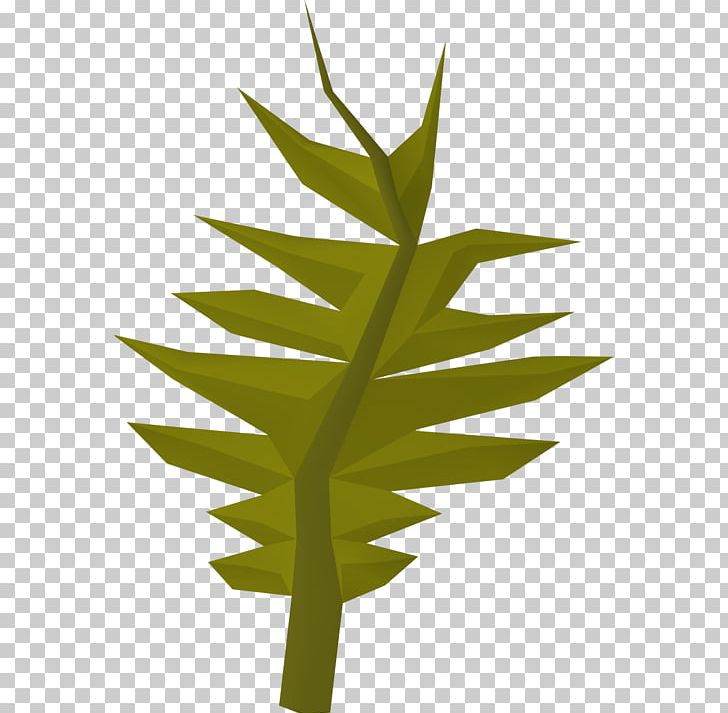 Old School RuneScape Wikia Plant PNG, Clipart, Arecaceae, Arecales, Food Drinks, Grass, Grasses Free PNG Download