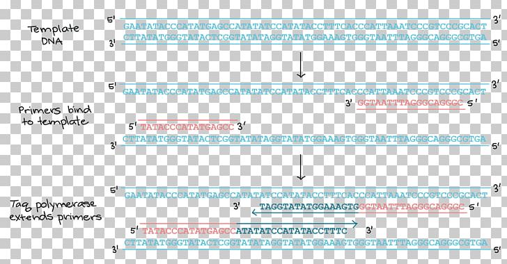 Document Line Angle Computer Program PNG, Clipart, Angle, Area, Art, Blue, Brand Free PNG Download