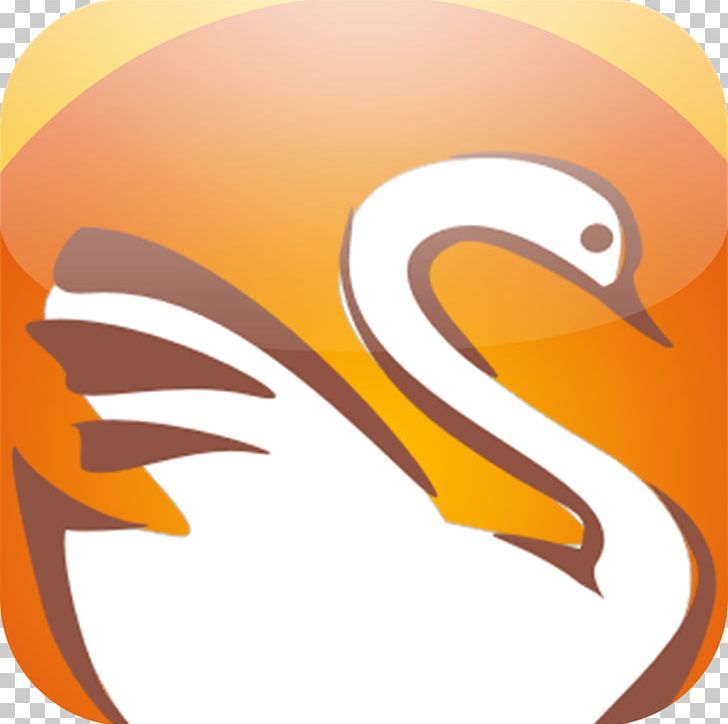 Beak Bird Of Prey Desktop PNG, Clipart, Animals, Beak, Bird, Bird Of Prey, Computer Free PNG Download