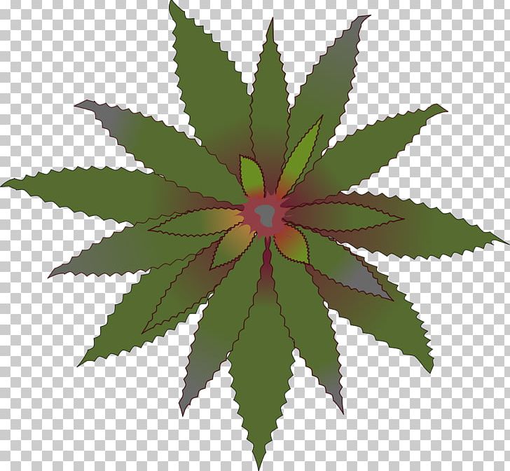 Leaf Others Flower PNG, Clipart, Bromelia, Cannabis, Computer Icons, Drawing, Electricity Free PNG Download