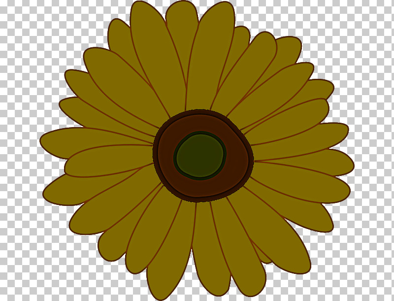 Sunflower PNG, Clipart, Circle, Daisy Family, English Marigold, Flower, Gerbera Free PNG Download