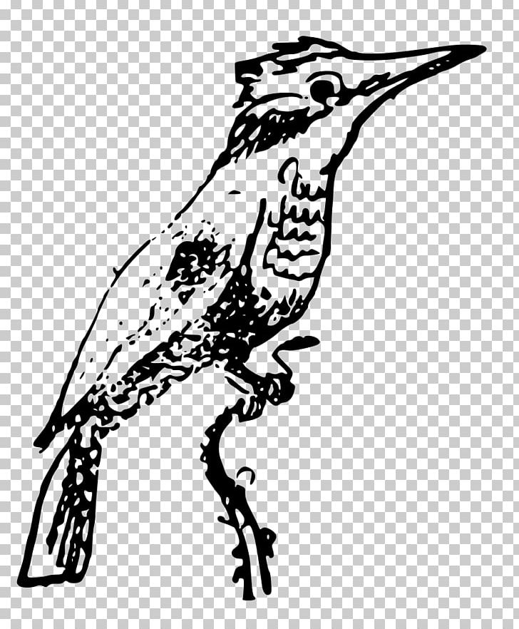 Kingfisher PNG, Clipart, Animals, Art, Artwork, Beak, Belted Kingfisher Free PNG Download