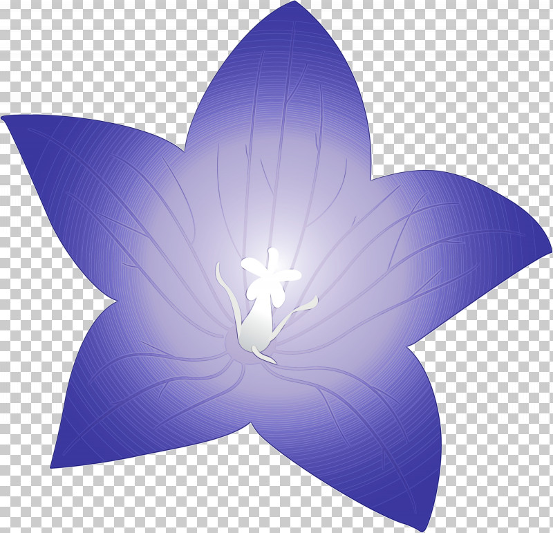 Flower Petal Symmetry Microsoft Azure Computer PNG, Clipart, Balloon Flower, Computer, Flower, Geometry, M Free PNG Download