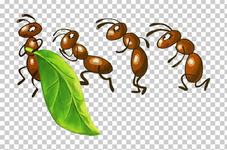 Ant Insect Bee Drawing Aphid PNG, Clipart, Animal, Ant, Ant Cartoon, Ant Line, Ants Free PNG Download