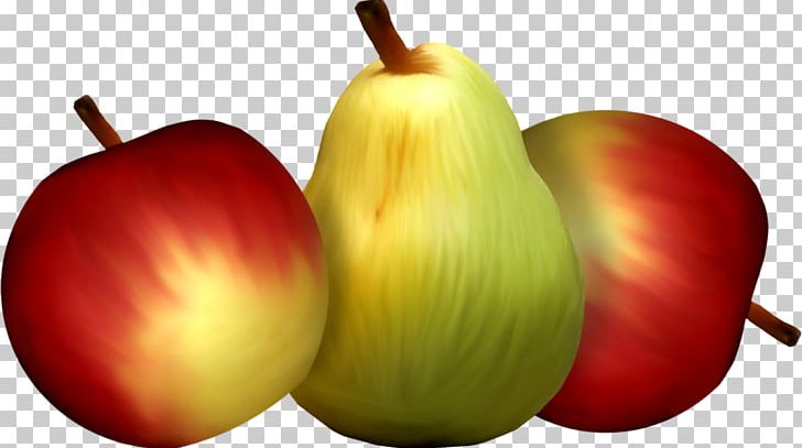 Apple PNG, Clipart, Accessory Fruit, Apple, Diet Food, Download, Food Free PNG Download
