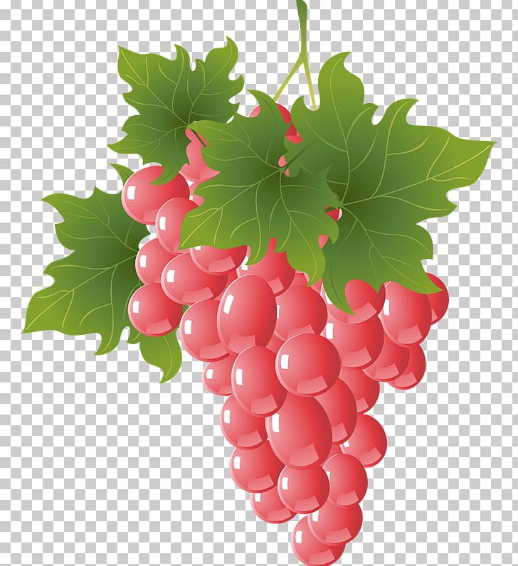 Grapevines Graphics Fruit Euclidean PNG, Clipart, Apple, Banana, Berry, Currant, Food Free PNG Download