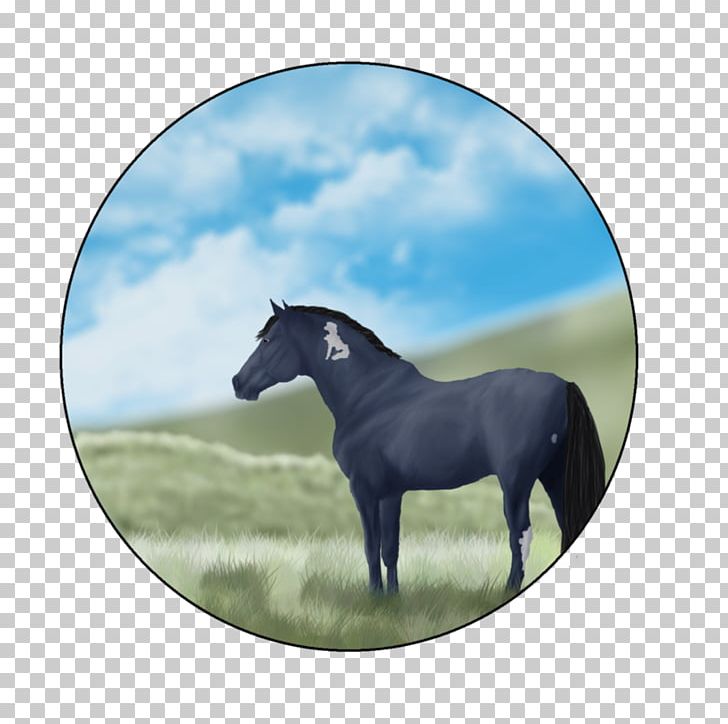 Mustang Stallion Pony Mare Mane PNG, Clipart, Academy Awards Preshow, Florida Kraze Krush Soccer Club, Grass, Halter, Horse Free PNG Download
