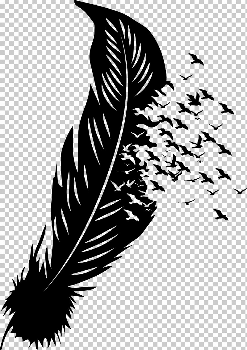 Feather PNG, Clipart, Black And White, Feather, Feather Boa, Quill, Silhouette Free PNG Download
