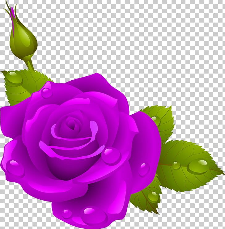 Bubble Shooter Roses Frames Flower Garden Roses PNG, Clipart, Cut Flowers, Desktop Wallpaper, Floral Design, Floristry, Flower Free PNG Download