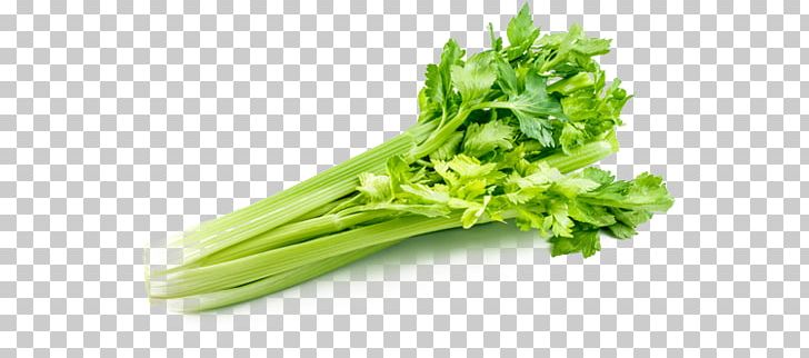 Celery Organic Food Leaf Vegetable Celeriac PNG, Clipart, Broccoli, Celery, Choy Sum, Food, Food Drinks Free PNG Download