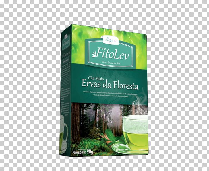 Green Tea Herb Hibiscus Tea Earl Grey Tea PNG, Clipart, Antioxidant, Chachacha, Earl Grey Tea, Fat, Food Drinks Free PNG Download
