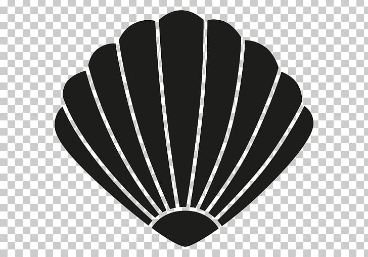 Seashell Mermaid PNG, Clipart, Animals, Autocad Dxf, Baltic Clam, Black, Black And White Free PNG Download