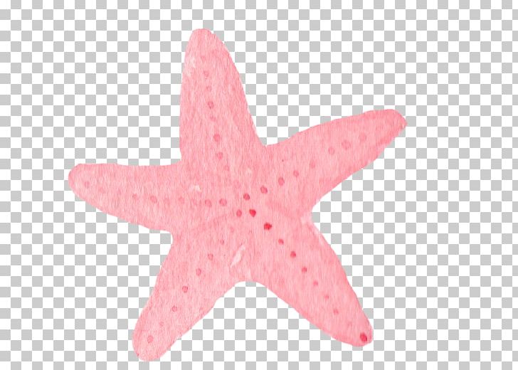 pink cartoon starfish
