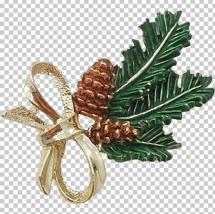 Tree Conifers Christmas Ornament Pine PNG, Clipart, Christmas, Christmas Ornament, Conifer, Conifers, Family Free PNG Download