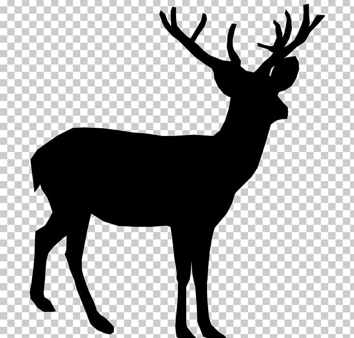 White-tailed Deer Reindeer Moose PNG, Clipart, Animals, Antler, Black And White, Blacktailed Deer, Deer Free PNG Download