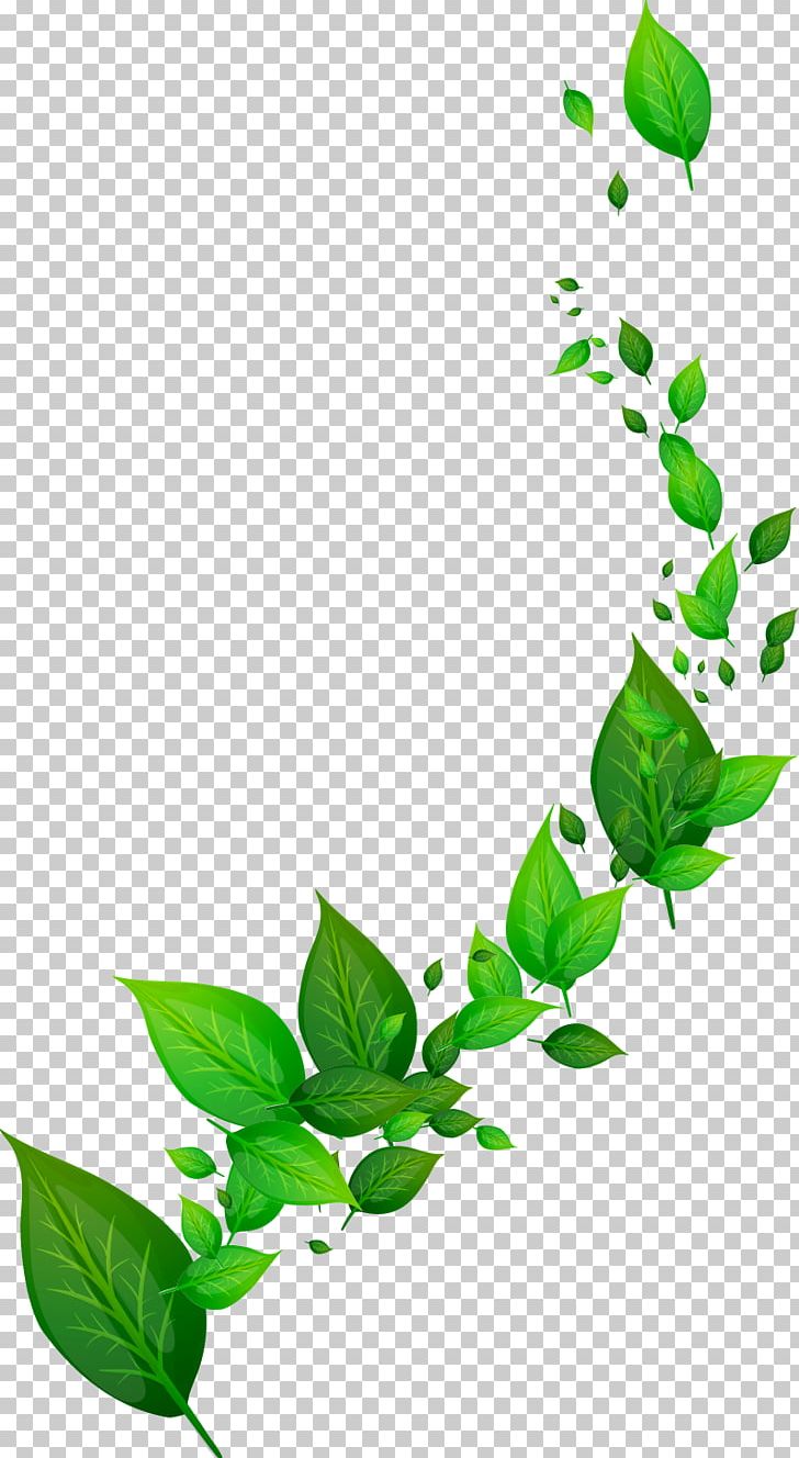 Dynamic Leaf PNG, Clipart, Autumn Leaf, Branch, Color, Decorative Patterns, Designer Free PNG Download