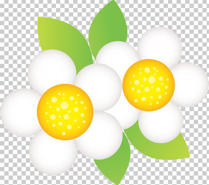 Flower Paper Drawing PNG, Clipart, Animation, Circle, Desktop Wallpaper, Drawing, Encapsulated Postscript Free PNG Download