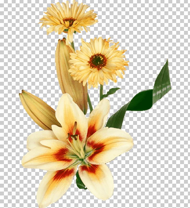 Portable Network Graphics Photograph Flower Desktop PNG, Clipart, Cut Flowers, Daisy, Daisy Family, Desktop Wallpaper, Floral Design Free PNG Download