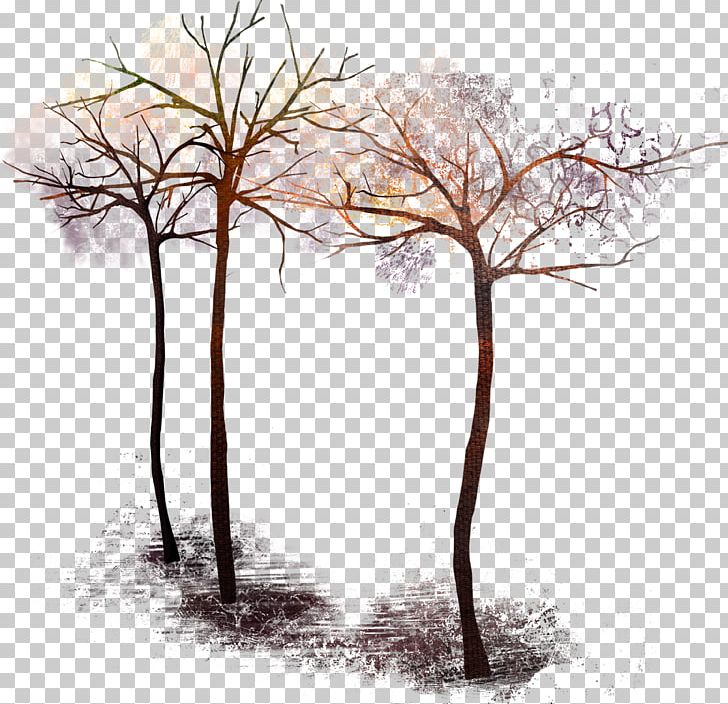 Tree PNG, Clipart, Autumn, Branch, Download, File Size, Flora Free PNG Download