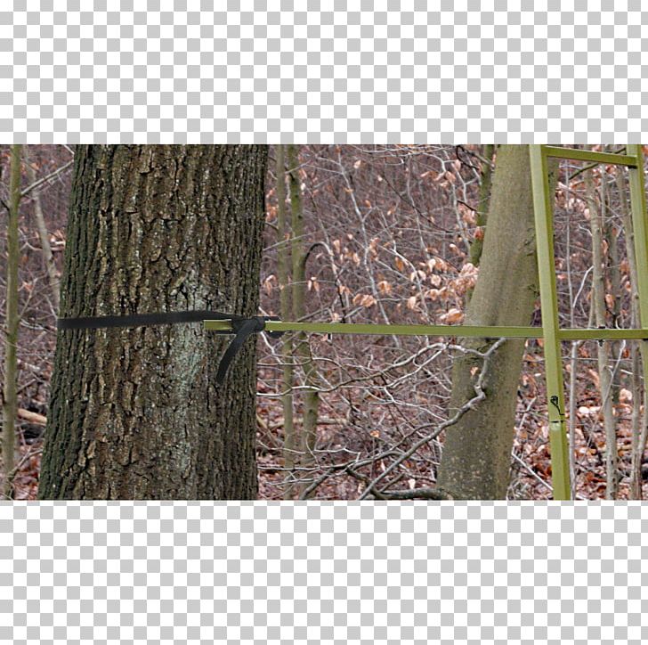 Tree Stands Hunting Weapon Oak PNG, Clipart, Branch, German, German Oak, Grass, Handsaw Free PNG Download