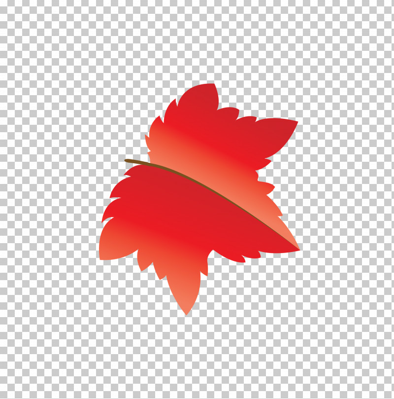 Maple Leaf PNG, Clipart, Autumn Leaf, Biology, Cartoon Leaf, Fall Leaf, Leaf Free PNG Download